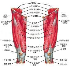피트니스세븐 이미지