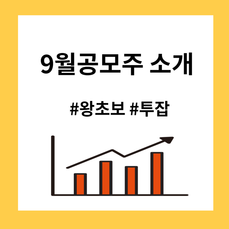 에스앤디연구소 이미지