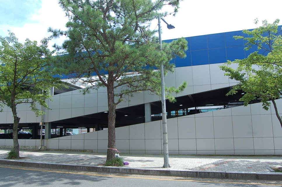성우막창 이미지