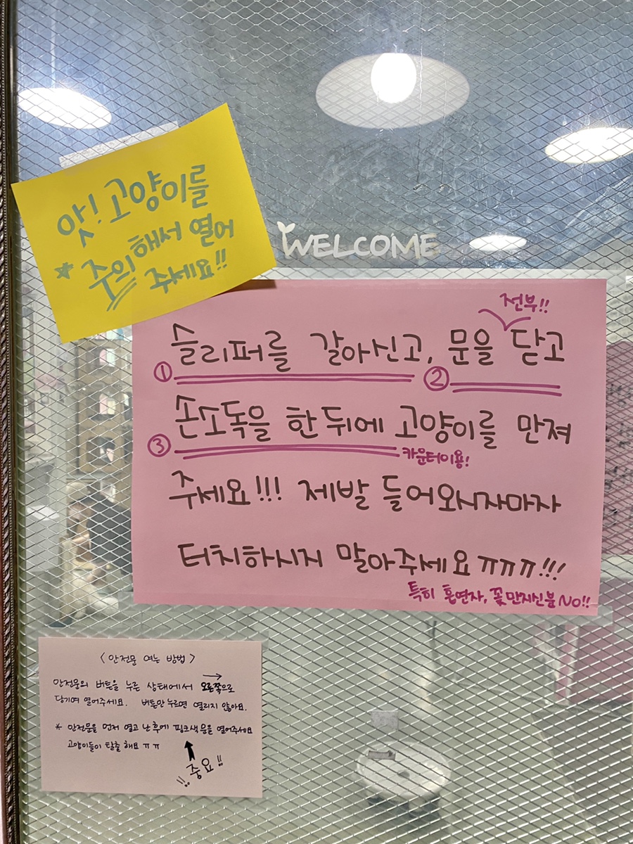 냥다방 이미지