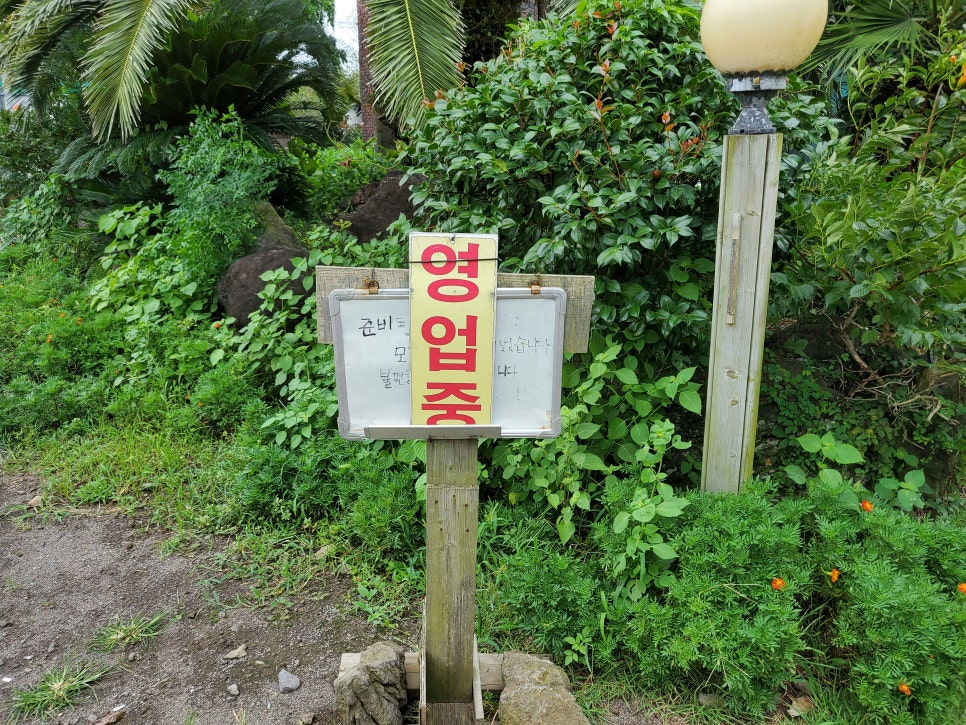 올렛거리 이미지