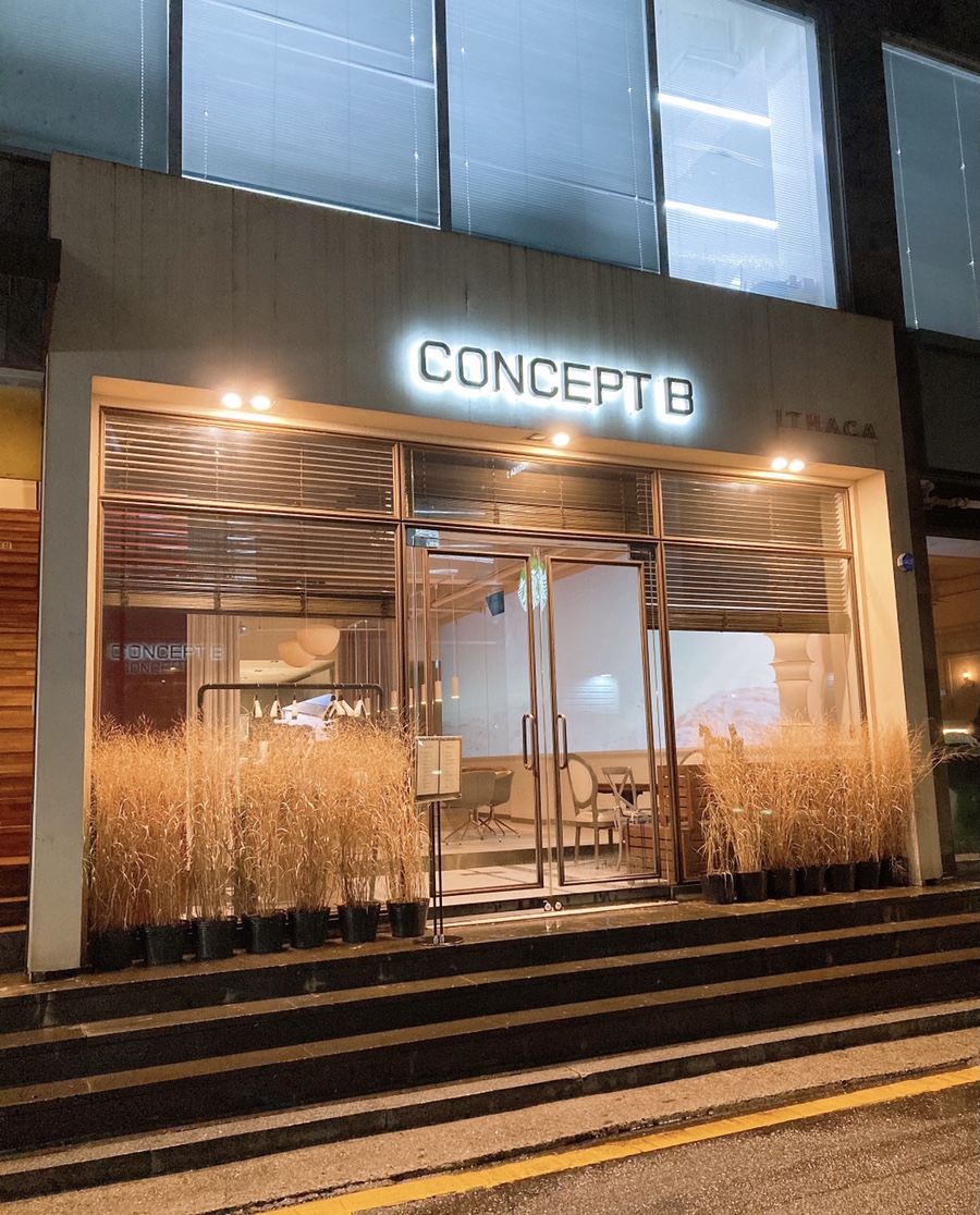 컨셉비(Concept B) 이미지