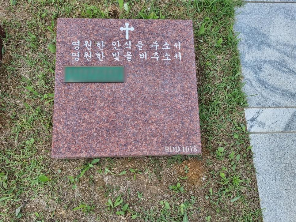 반석개발 이미지