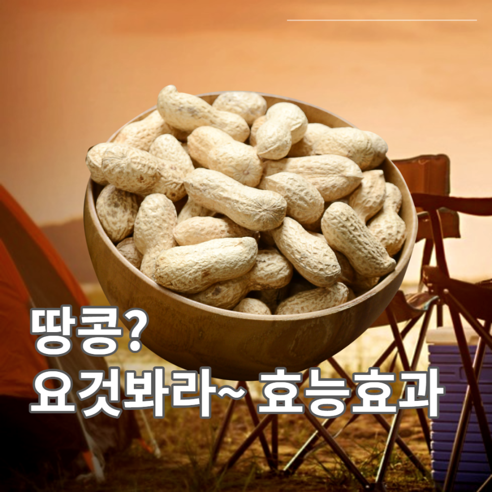 제일땅콩 이미지