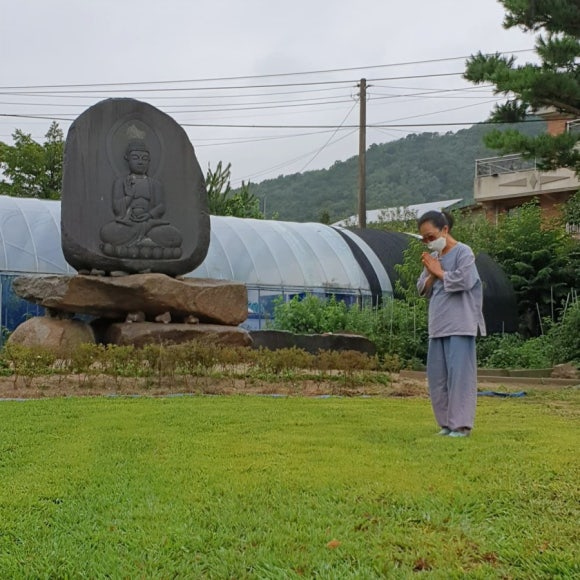 지나는길에 이미지