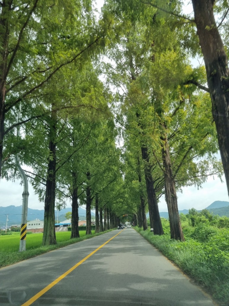담양돈까스 이미지