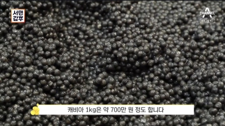 함양군 철갑상어 영어조합 이미지