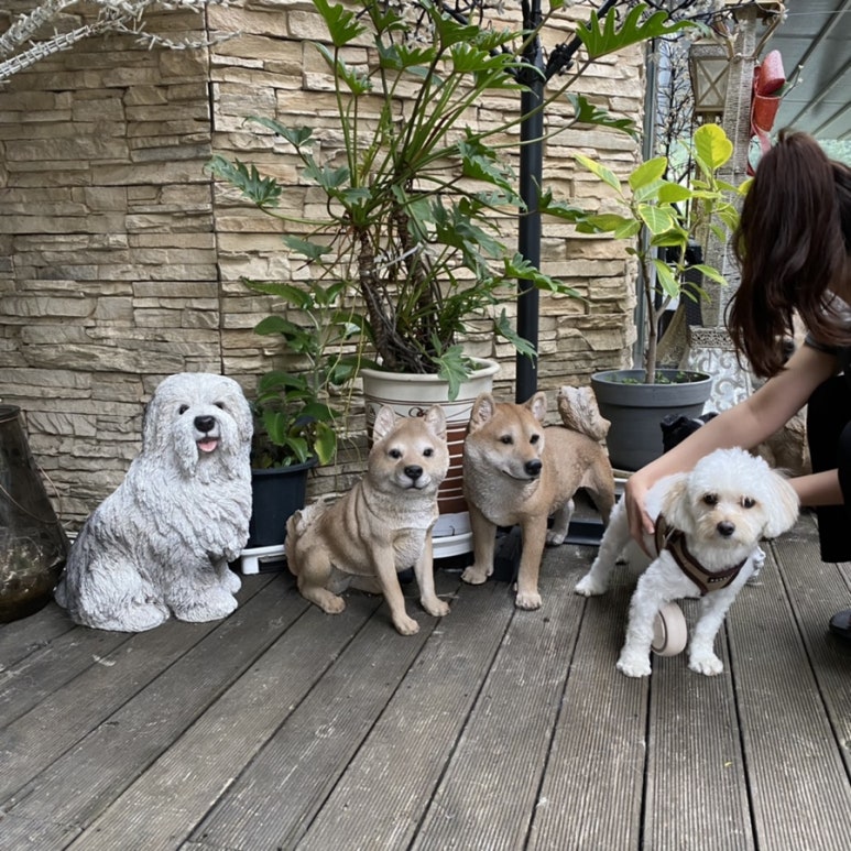자니펜션 이미지