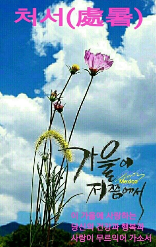 우미K뷰티 이미지