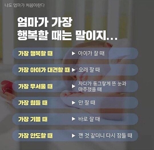 닭이봉춘천닭갈비 이미지