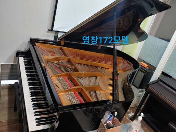새노래음악학원 이미지