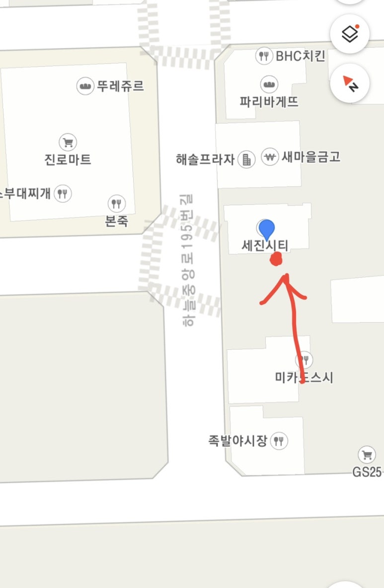 하늘수선 이미지
