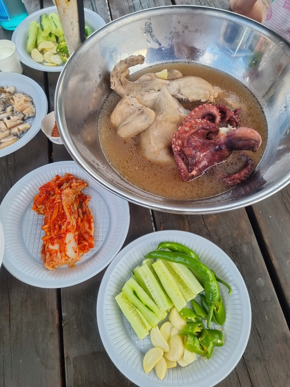 돌고래펜션야영장 이미지