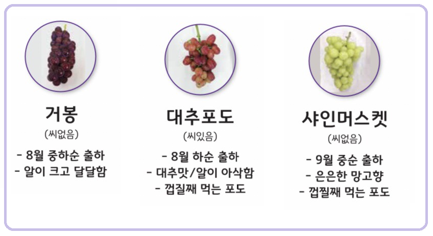 오하포도농원 이미지