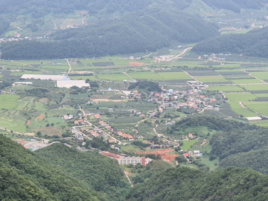 선일식육점 이미지
