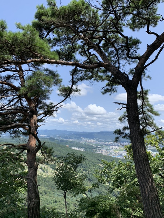 상봉투어 이미지