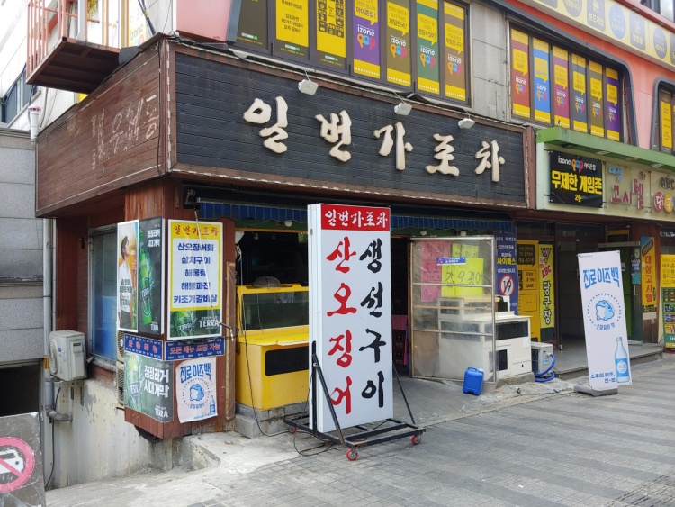 수목포차 이미지