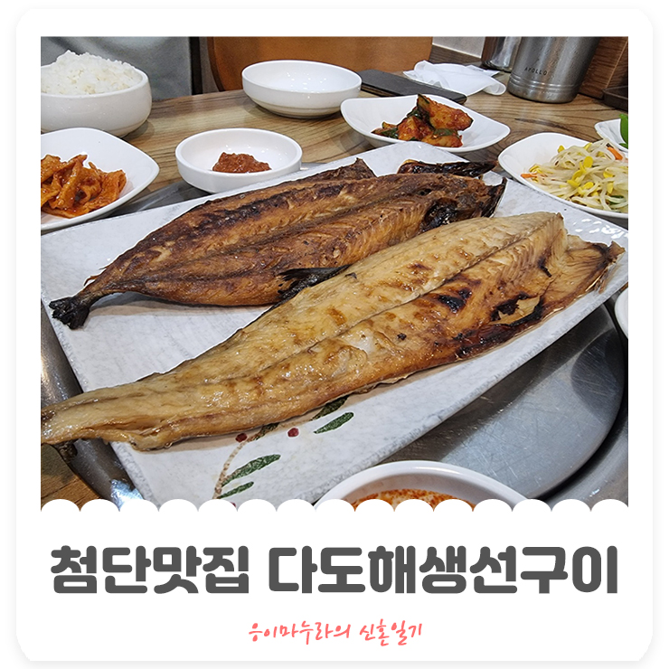 다도해생선구이 이미지