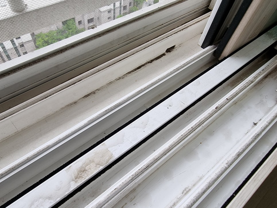 황금빗자루목포점 이미지