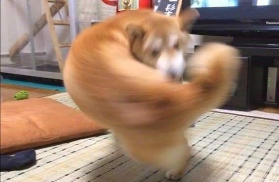 소굴속 이미지