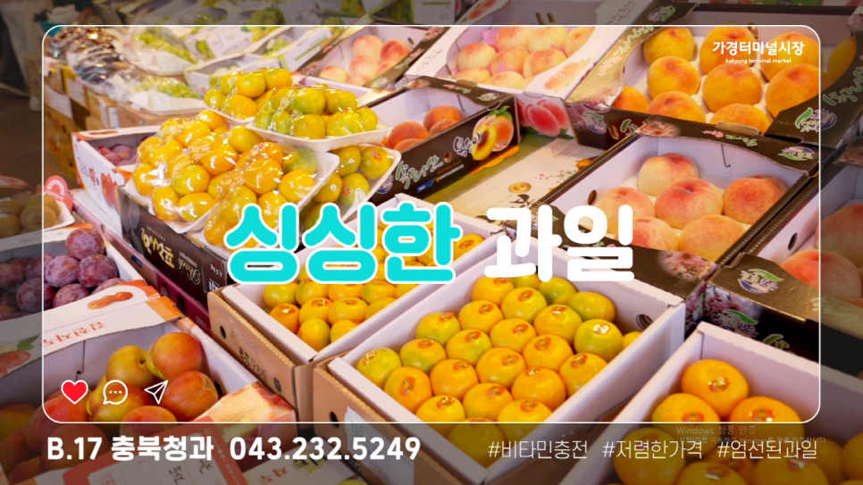 충북청과 이미지