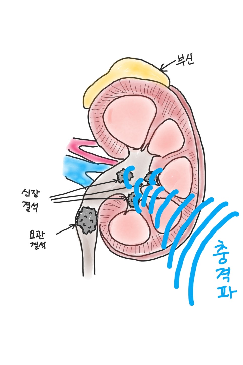 멘파워비뇨기과 이미지