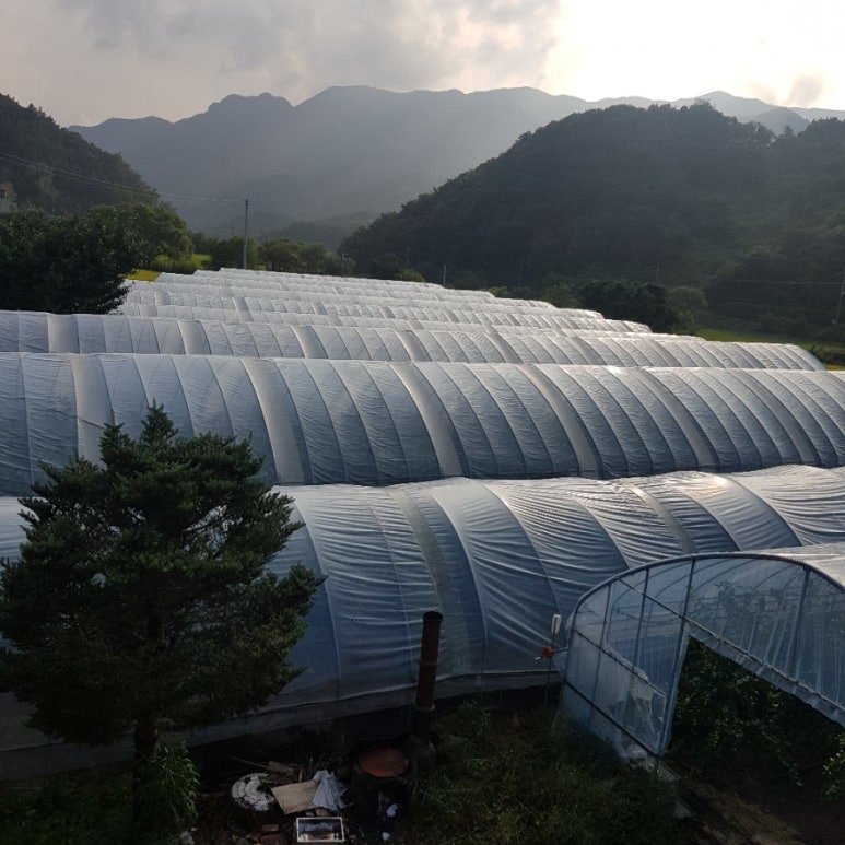 멀티팜 이미지