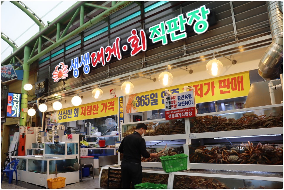 매일회대게시장 이미지