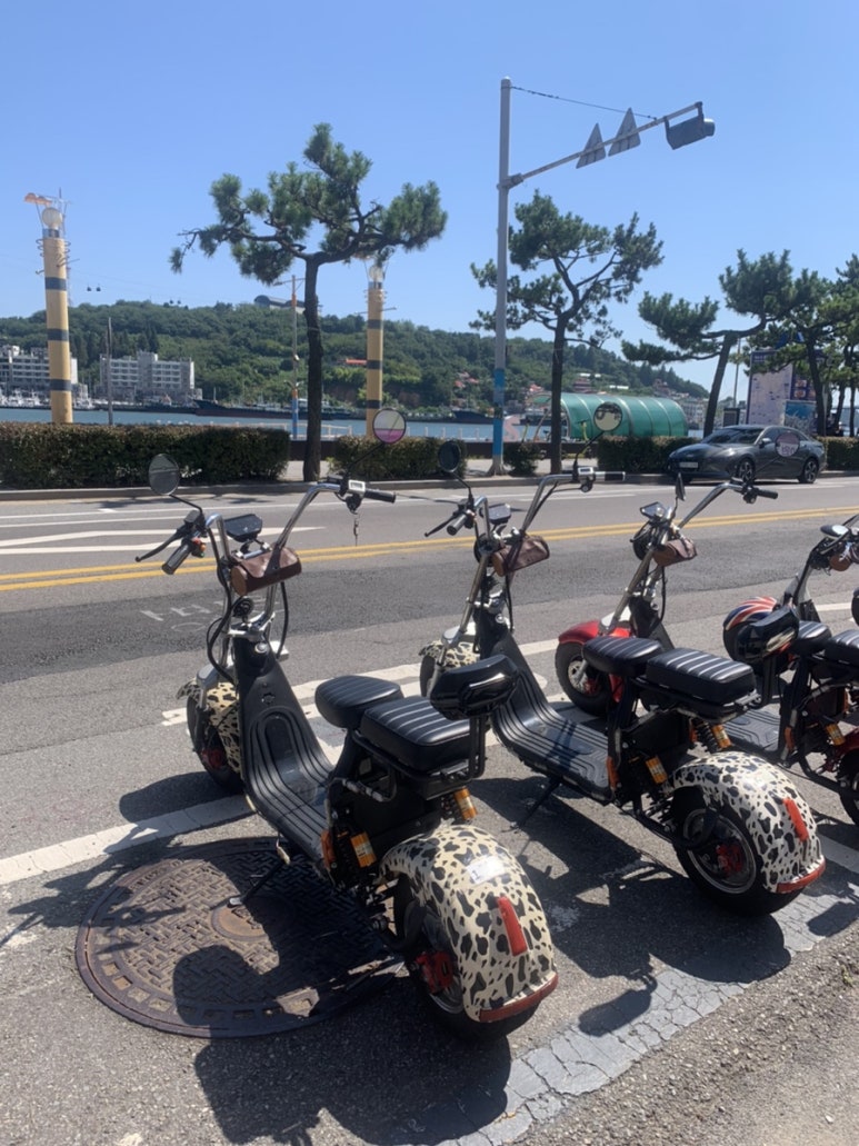 the 쫑포 이미지