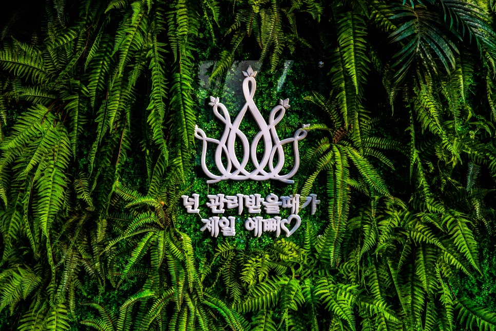 앤클로이토탈뷰티 이미지