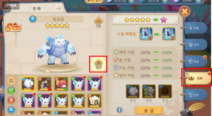 동그라미펫 이미지