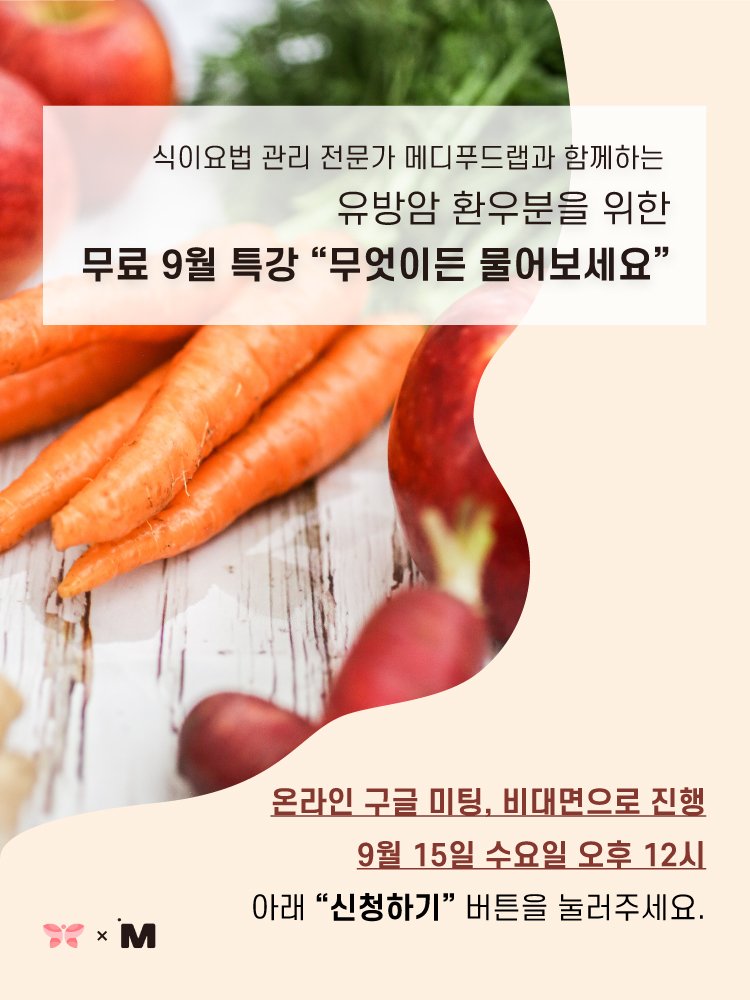 나비푸드 이미지