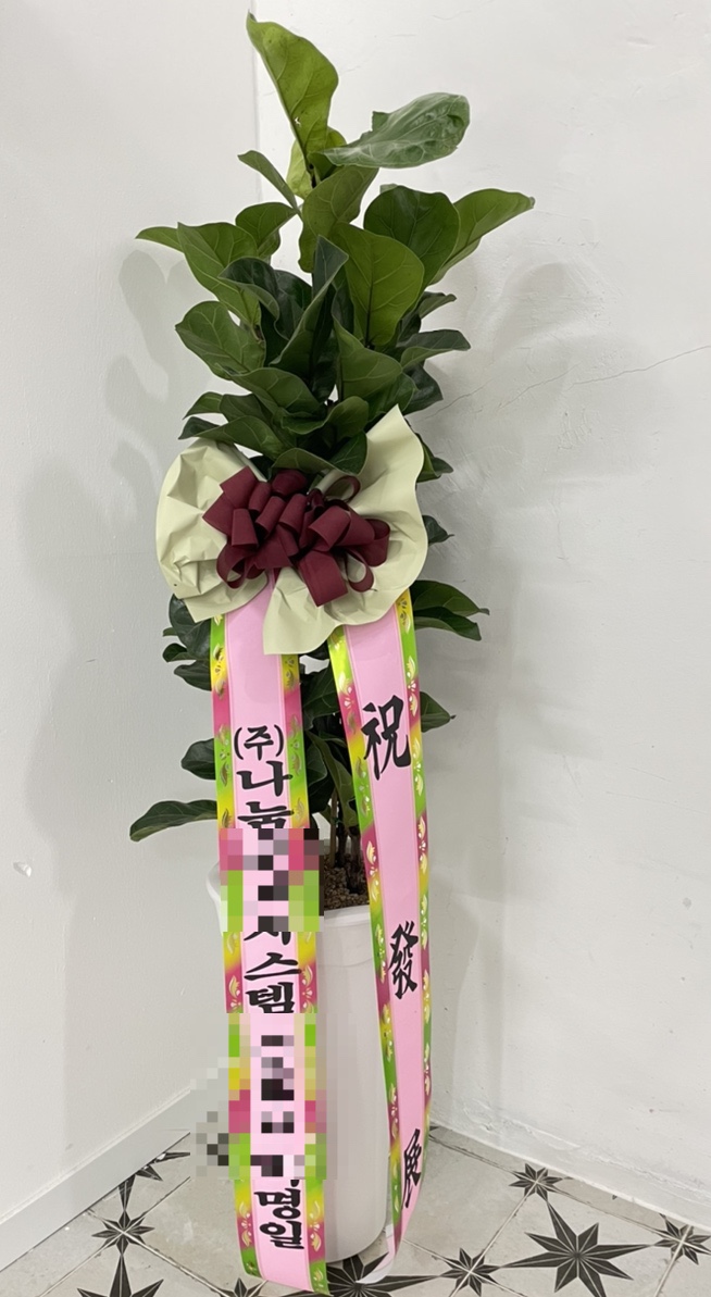 곡천화원 이미지