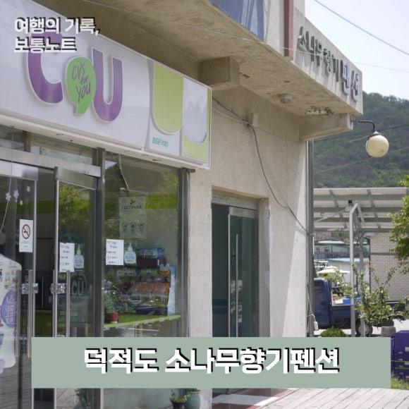 소나무향기펜션 이미지