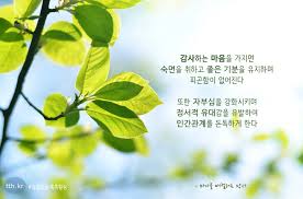 자미식당 이미지