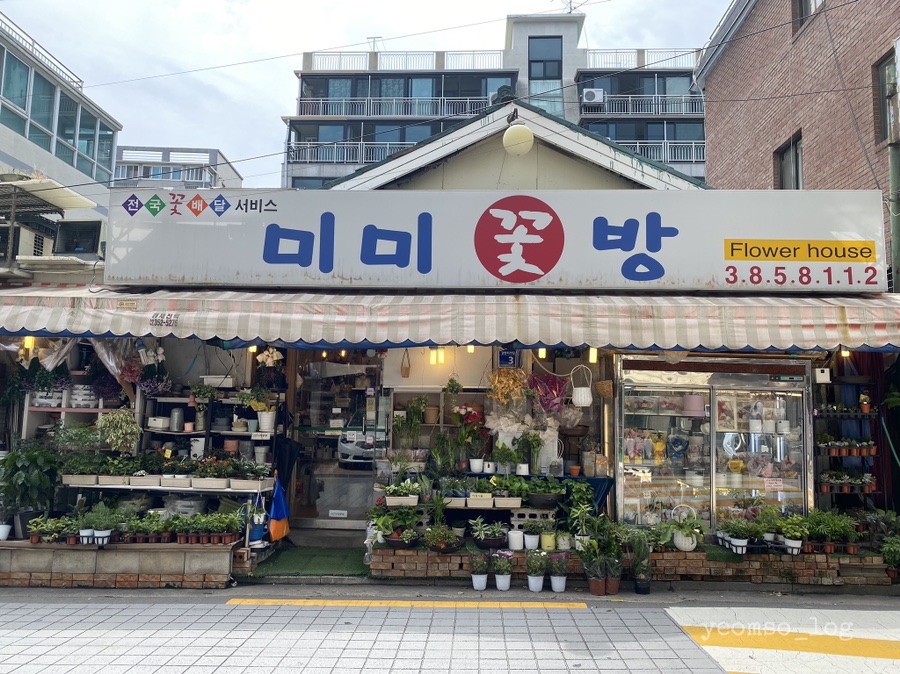 미미꽃방 이미지