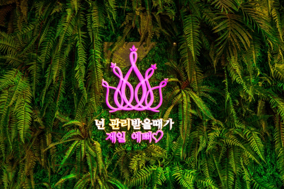 힐링앤뷰티 이미지