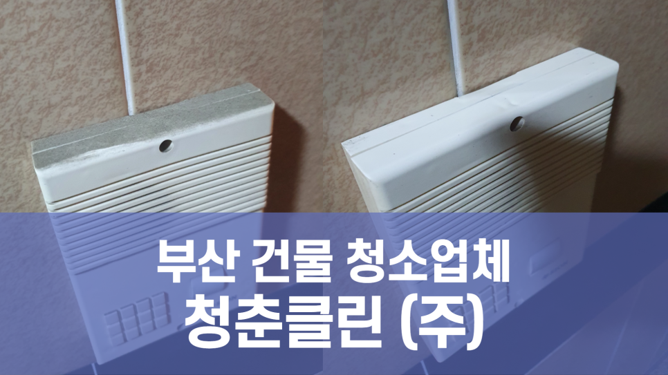 청춘청소방역 이미지