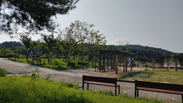 피자나라치킨공주영종 이미지
