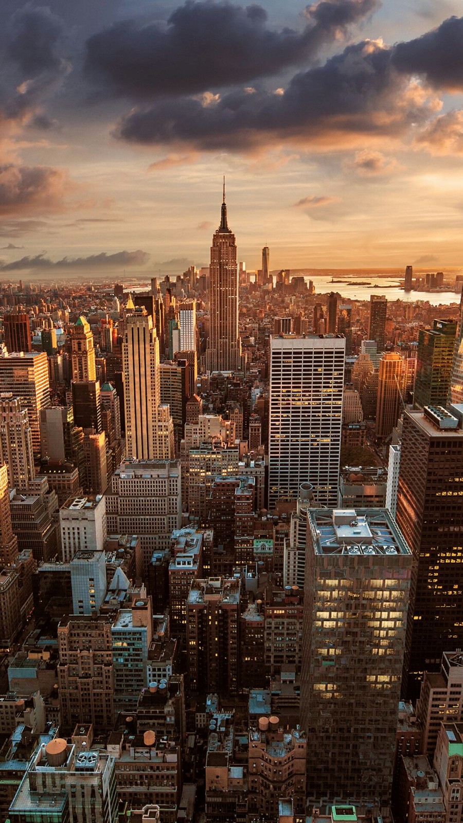 시티뉴욕(City New York) 이미지