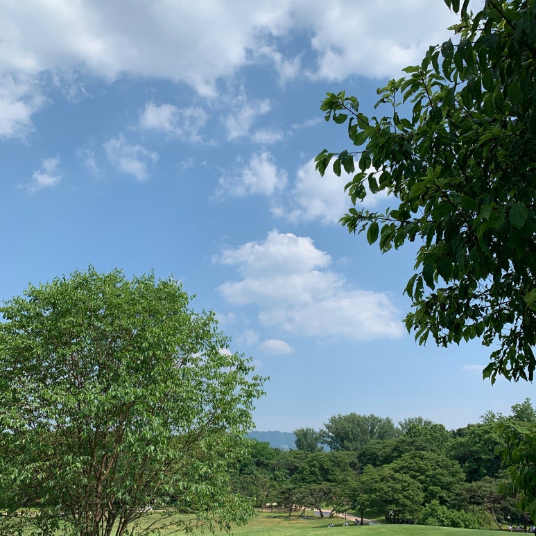 (주)대창 이미지