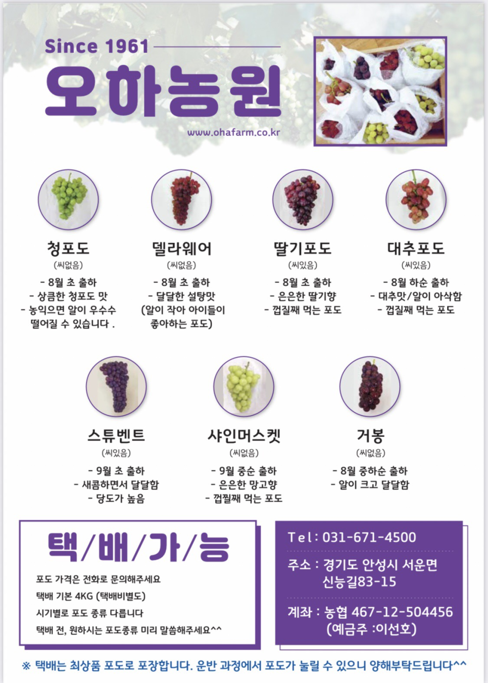 오하포도농원 이미지
