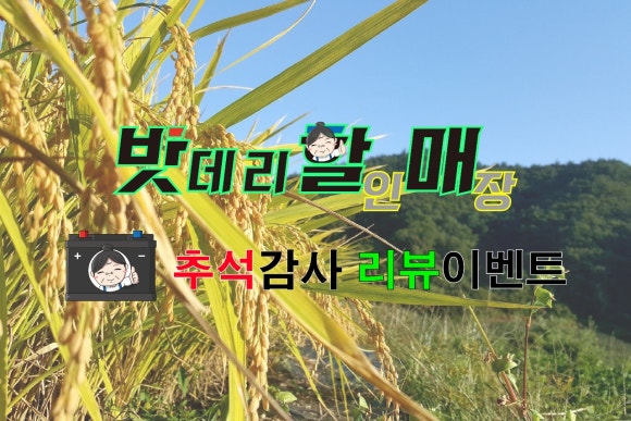 밧데리할매 이미지