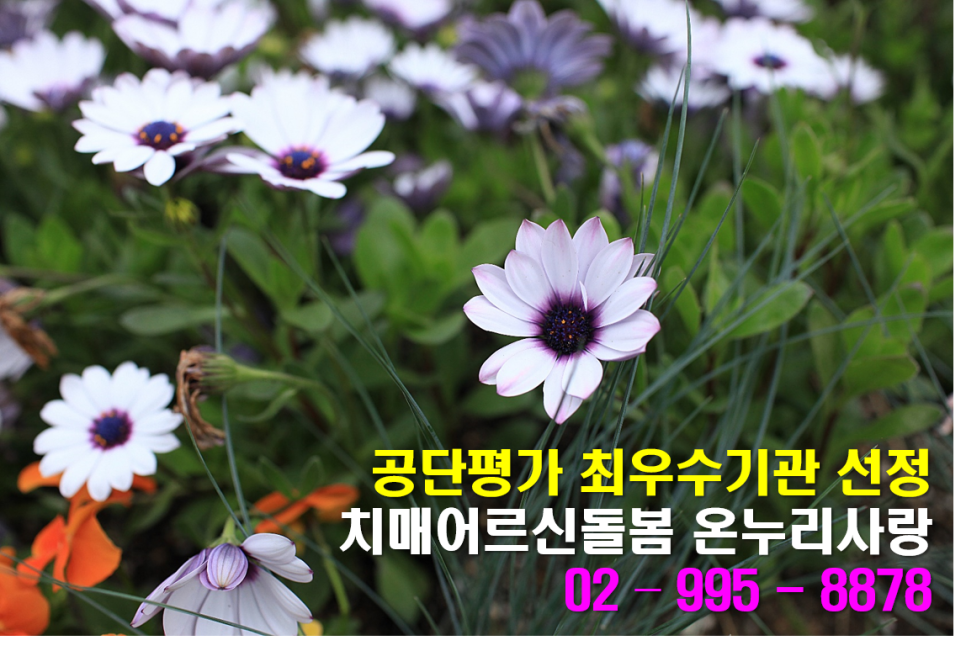 사랑돌봄재가복지센터.복지용구 이미지