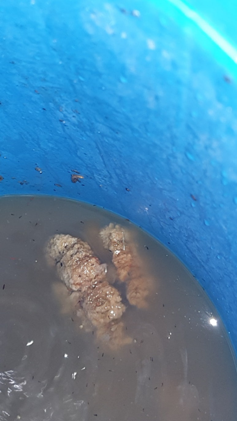 고덕물류 이미지