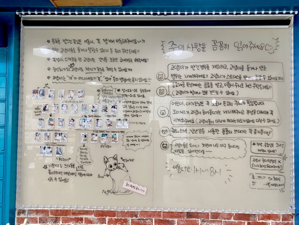 냥다방 이미지