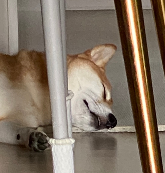 꾸울마켓 이미지
