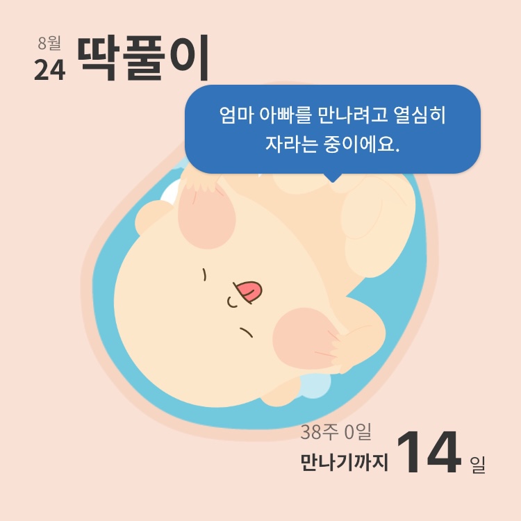 푸릴리 이미지