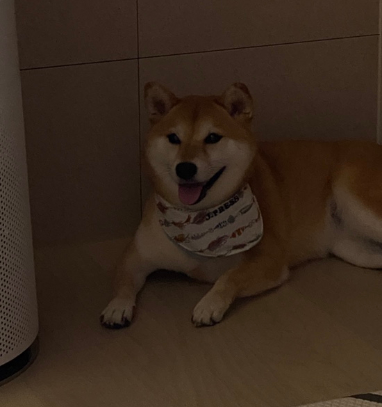 꾸울마켓 이미지
