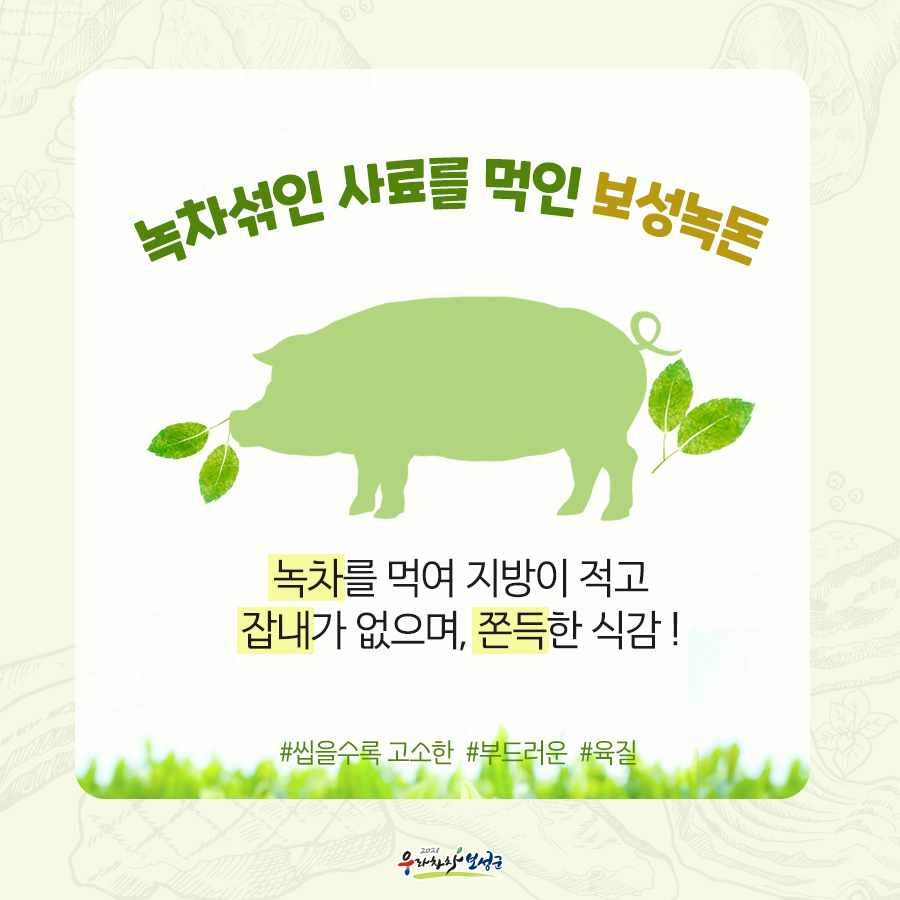 보성녹돈 이미지